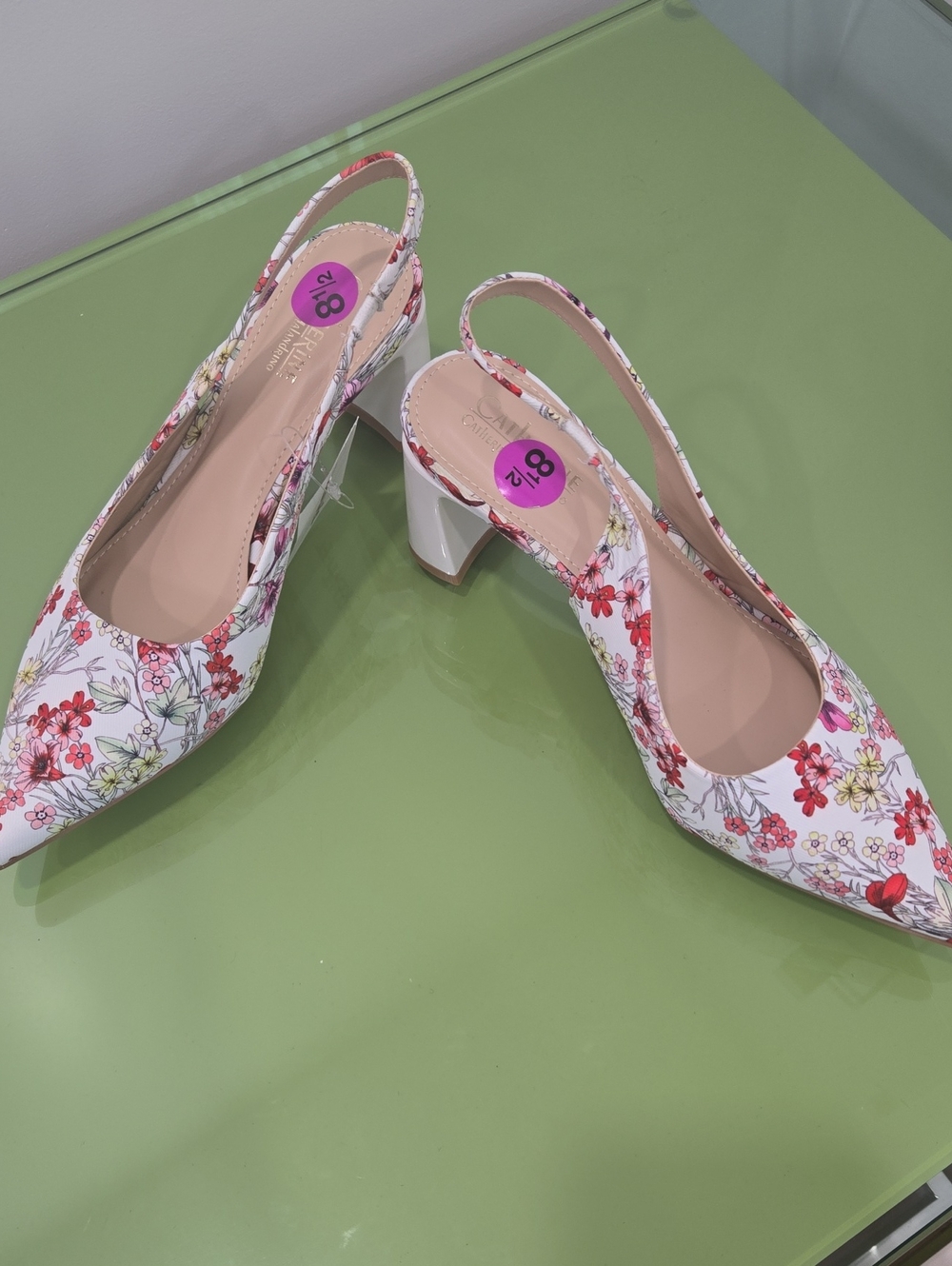 Floral Pointed-Toe Slingback Block Heel Pumps - White/Red Floral